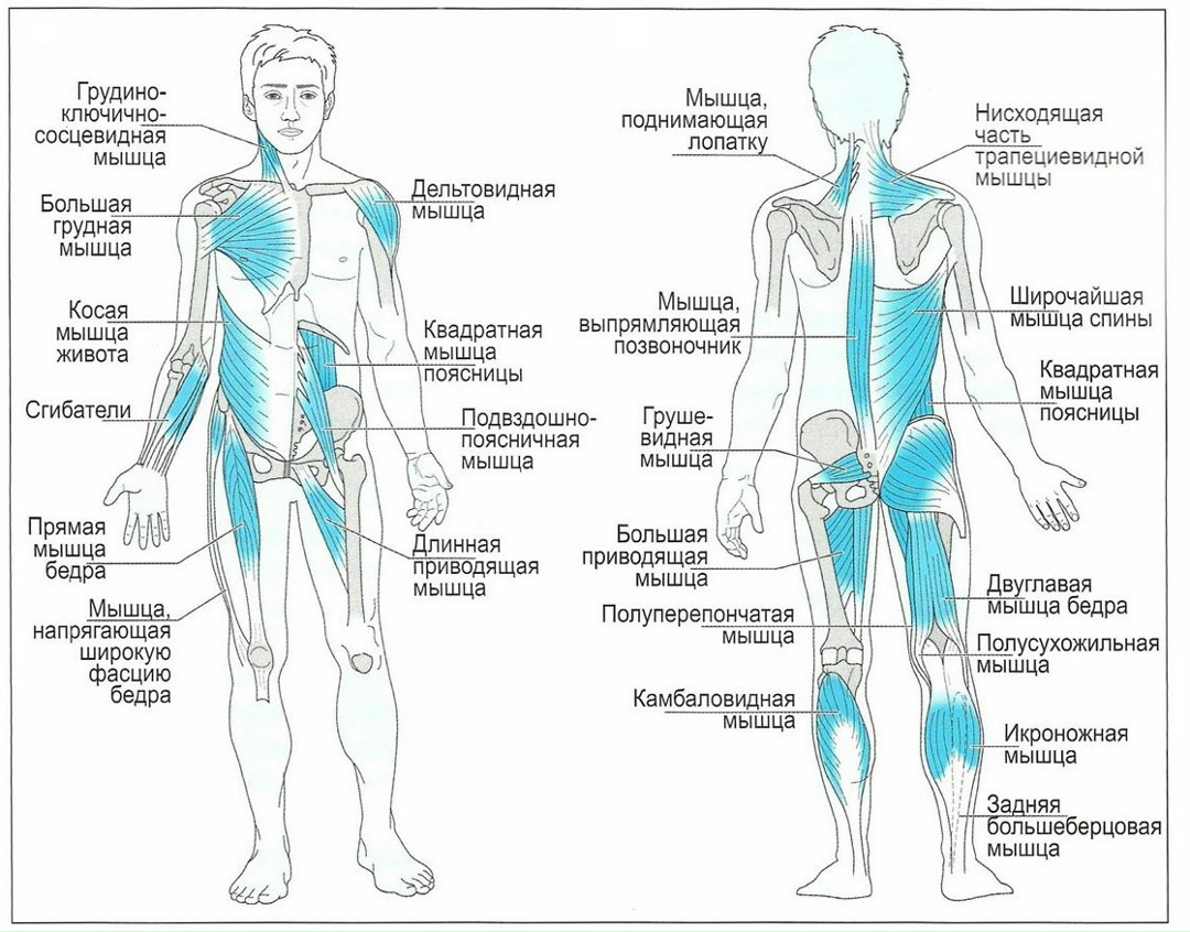 Движение тела